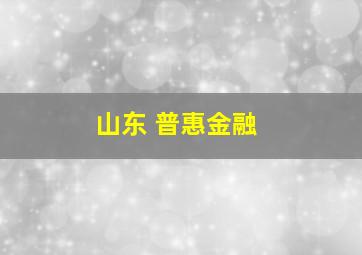 山东 普惠金融